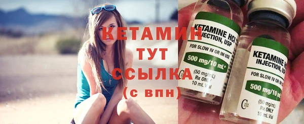 сатива Богданович