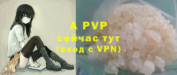 сатива Богданович