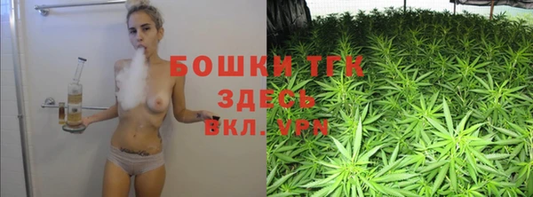 сатива Богданович