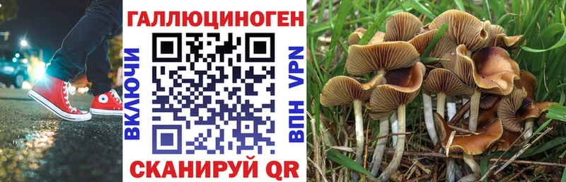 Псилоцибиновые грибы ЛСД  цены наркотик  Спасск-Дальний 